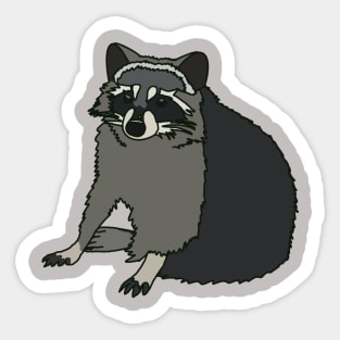 Trash Panda Sticker